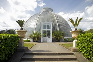 Kew Gardens Prints: The Palm House conservatory, Kew Gardens, UNESCO World Heritage Site, London