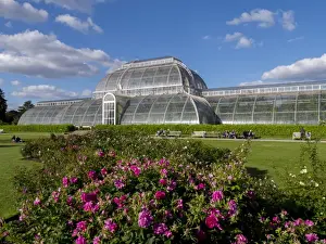 Horticultural Prints: Palm House in Kew Gardens in summer, Royal Botanic Gardens, UNESCO World Heritage Site