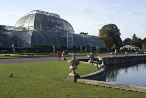 Images Dated 18th October 2009: Palm House, Kew Gardens, UNESCO World Heritage Site, Greater London, England