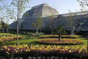 Images Dated 18th April 2009: Palm House, Royal Botanic Gardens (Kew Gardens), UNESCO World Heritage Site