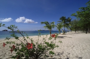 Palm Island
