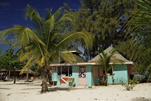 Grenadines Prints: Palm Island