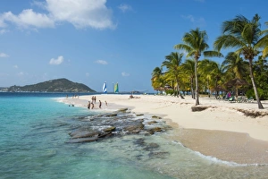 Windward Islands Prints: Palm Island, The Grenadines, St