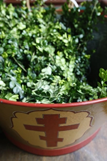 Images Dated 20th April 2008: Palm Sunday boxwood, St. Serge Orthodox church, Paris, France, Europe