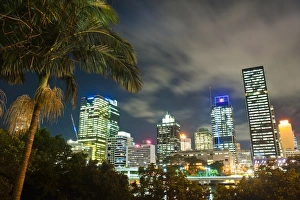 Queens Land Prints: Palm tree and Brisbane skyline at night, Brisbane, Queensland, Australia, Pacific