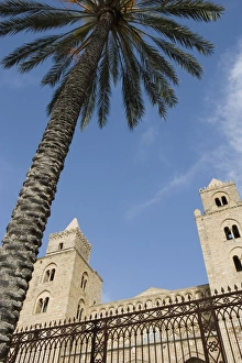 Piazza Duomo Prints: Palm tree and cathedral