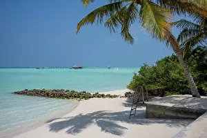 Azure Prints: Palm tree and deck overlooking the crystal clear lagoon on an exotic Island in The Maldives