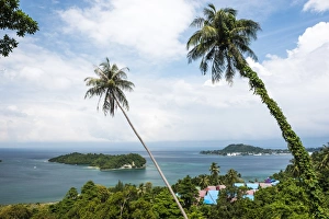 Sumatra Prints: Palm tree landscape near Iboih, Pulau Weh Island, Aceh Province, Sumatra, Indonesia