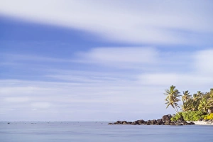 Palm tree long exposure, Muri, Rarotonga, Cook Islands, South Pacific, Pacific