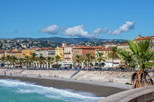 Nice Prints: Palm tree with Promenade des Anglais in the distance