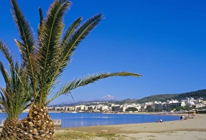 Rethymno Prints: Palm tree and Rethymo beach