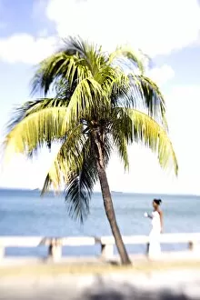 Images Dated 28th March 2009: Palm tree and woman in white dress, Punta Gorda, Cienfuegos, Cuba, West Indies