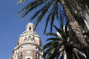 Images Dated 25th June 2007: palm trees
