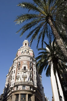 Images Dated 25th June 2007: palm trees