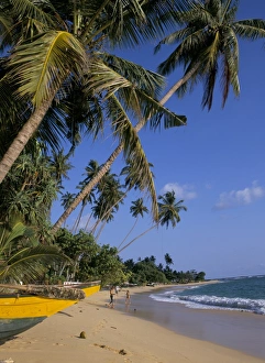 Palm trees and beach