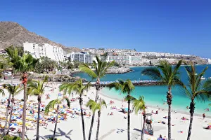 Typically Spanish Gallery: Palm trees at the beach, Arguineguin, Anfi del Mar, Playa de la Verga, Gran Canaria