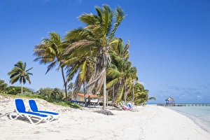 Palm trees and beach, Playa El Paso, Cayo Guillermo, Jardines del Rey, Ciego de Avila Province