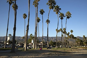Santa Barbara Prints: Palm trees behind beach, Santa Barbara