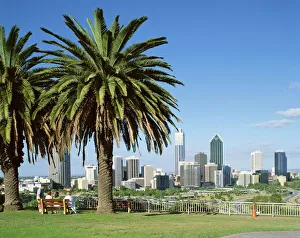 Palm Prints: Palm trees and city skyline, Perth, Western Australia, Australia, Pacific