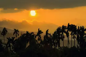 Silhouettes Prints: Palm trees and foothills of the Elephant Mountains seen from the Praek Tuek Chhu River
