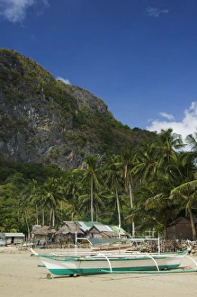 Outodors Prints: Palm trees line beach and fishing boats