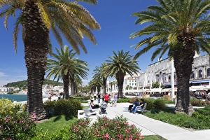 Palm trees and promenade, Split, Dalmatia, Croatia, Europe