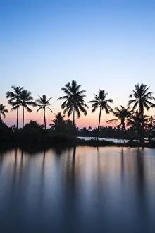 Kerala Prints: Palm trees reflecting in backwaters, Munroe Island, Kollam, Kerala, India, Asia