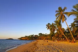 Images Dated 12th August 2007: Palm trees on sandy beach of Andilana on Nosy Be, Madagascar, Indian Ocean, Africa