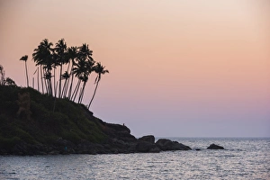 Arecaceae Prints: Palm trees silhouetted at Palolem Beach at sunset, Goa, India, Asia