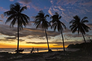 Nicoya Peninsula Prints: Palm trees at sunset on Playa Guiones surfing beach