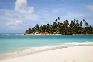 Sand Beach Prints: Palm trees and thatch huts on Diablo Island seen from the beach on Dog Island