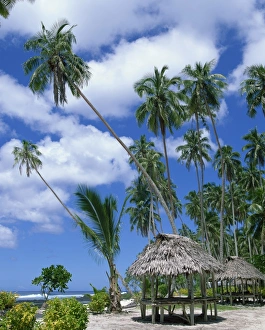 Huts Prints: Palm trees and thatched shelters on the beach at Lefaga, Western Samoa