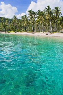 Nippah Beach Prints: Palm trees and turquoise water