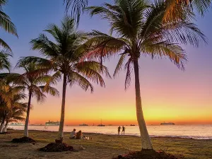 Time Prints: Palm Trees at the waterfront of San Miguel de Cozumel