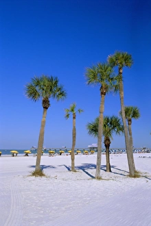 Wonderful Prints: Palms and beach