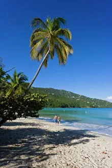 Images Dated 24th January 2008: Palms and beach at Magens Bay, the most famous beach on St. Thomas, St