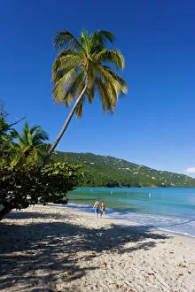 Images Dated 24th January 2008: Palms and beach at Magens Bay, the most famous beach on St. Thomas, St