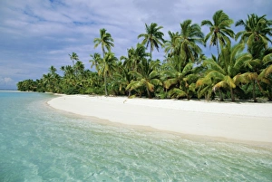 Palms, white sand and turquoise water, One Foot Island, Aitutaki, Cook Islands