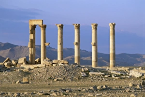 Palmyra Prints: Palmyra, UNESCO World Heritage Site
