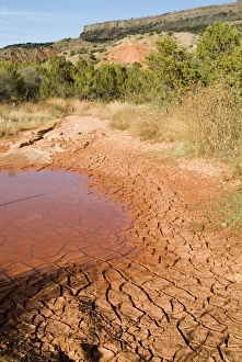 Images Dated 11th January 2000: Palo Duro State Park