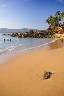 Images Dated 12th February 2008: Palolem, Goa, India, Asia