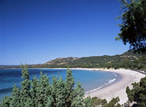 Palombaggia Prints: Palombaggia beach, Porto Vecchio, Corsica, France, Mediterranean, Europe