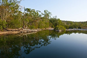 Queens Land Prints: Paluma Range National Park, Queensland, Australia, Pacific