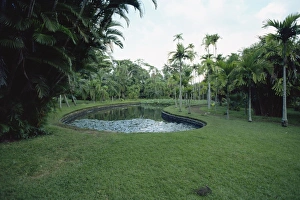 Botanical Garden Prints: Pamplemousse Gardens