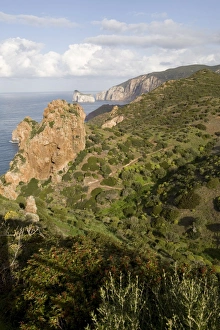 Images Dated 9th March 2008: Pan di Zucchero (Sugar loaf), west coast, Sardinia, Italy, Mediterranean, Europe