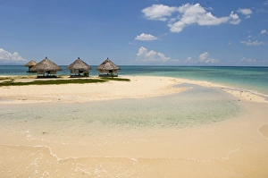 Wonderful Prints: Pandanon Island