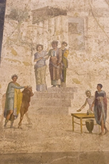 Panel painting, from The House of Jason, Pompeii, displayed at National Archaeological Museum