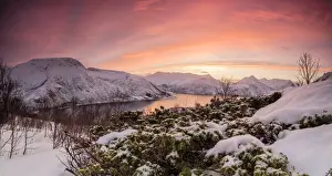 Troms County Prints: Panorama of frozen sea surrounded by snow framed by the orange sky at sunset, Torsken