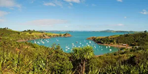 North Island Prints: Panorama of sailing boats on Waiheke Island, Auckland, North Island, New Zealand, Pacific