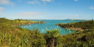 Images Dated 29th April 2011: Panorama of sailing boats on Waiheke Island, Auckland, North Island, New Zealand, Pacific